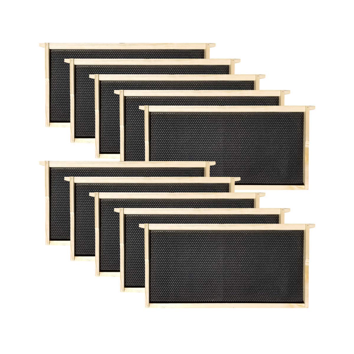 10 Frame Deep Brood Box – Unassembled w/ Frames & Foundations – Made in USA | Weeks Honey Farm - Image 4