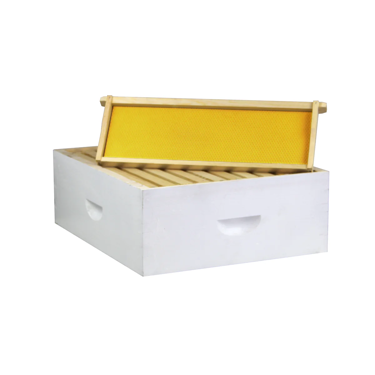 10 Frame Painted Medium Honey Super – Amish-Made w/ Assembled Frames & Wax-Coated Foundations | Weeks Honey Farm