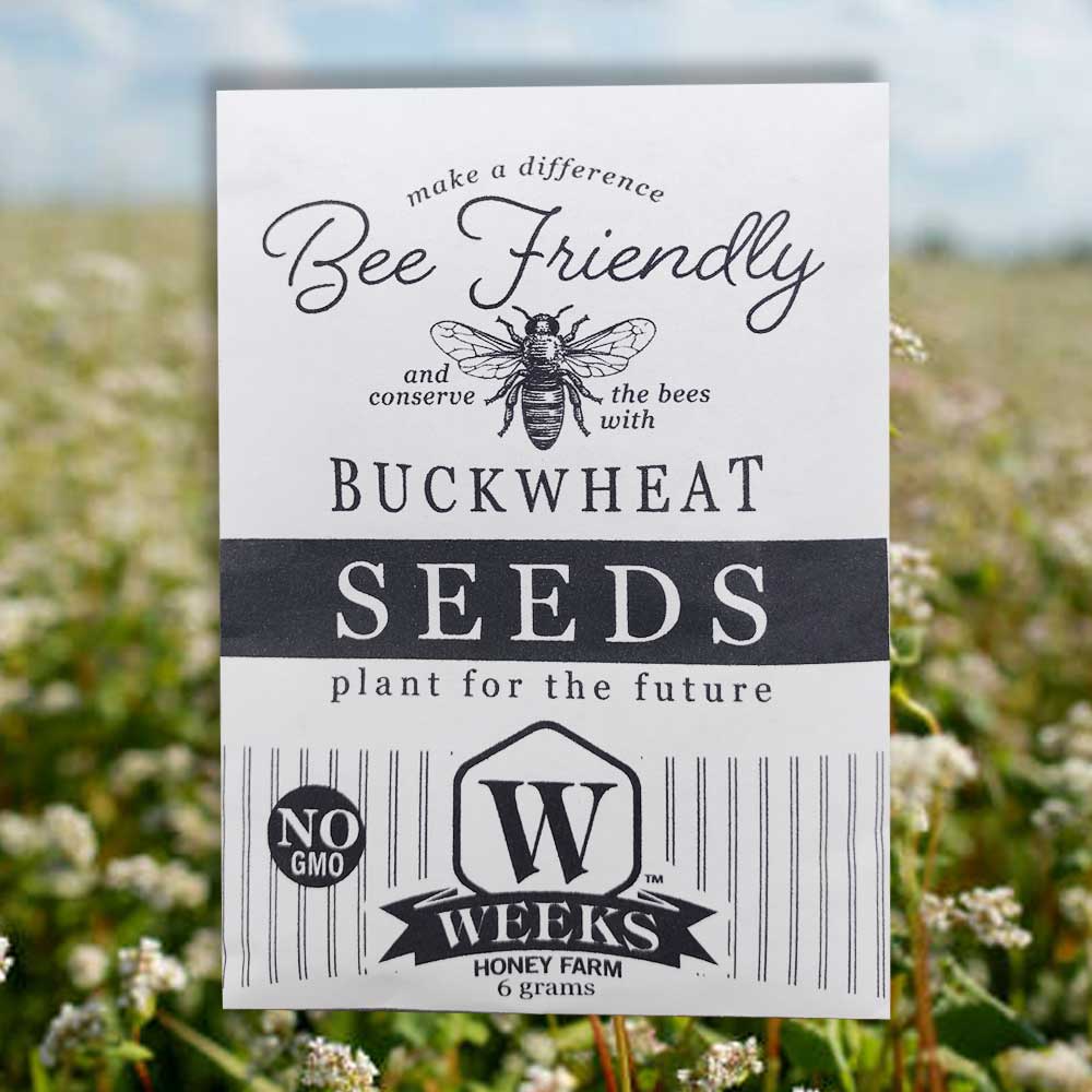 BOGO Bee Friendly Seed Collection Inspired by Our Honey Bees Favorite Flowers (3 Pack) - Image 3