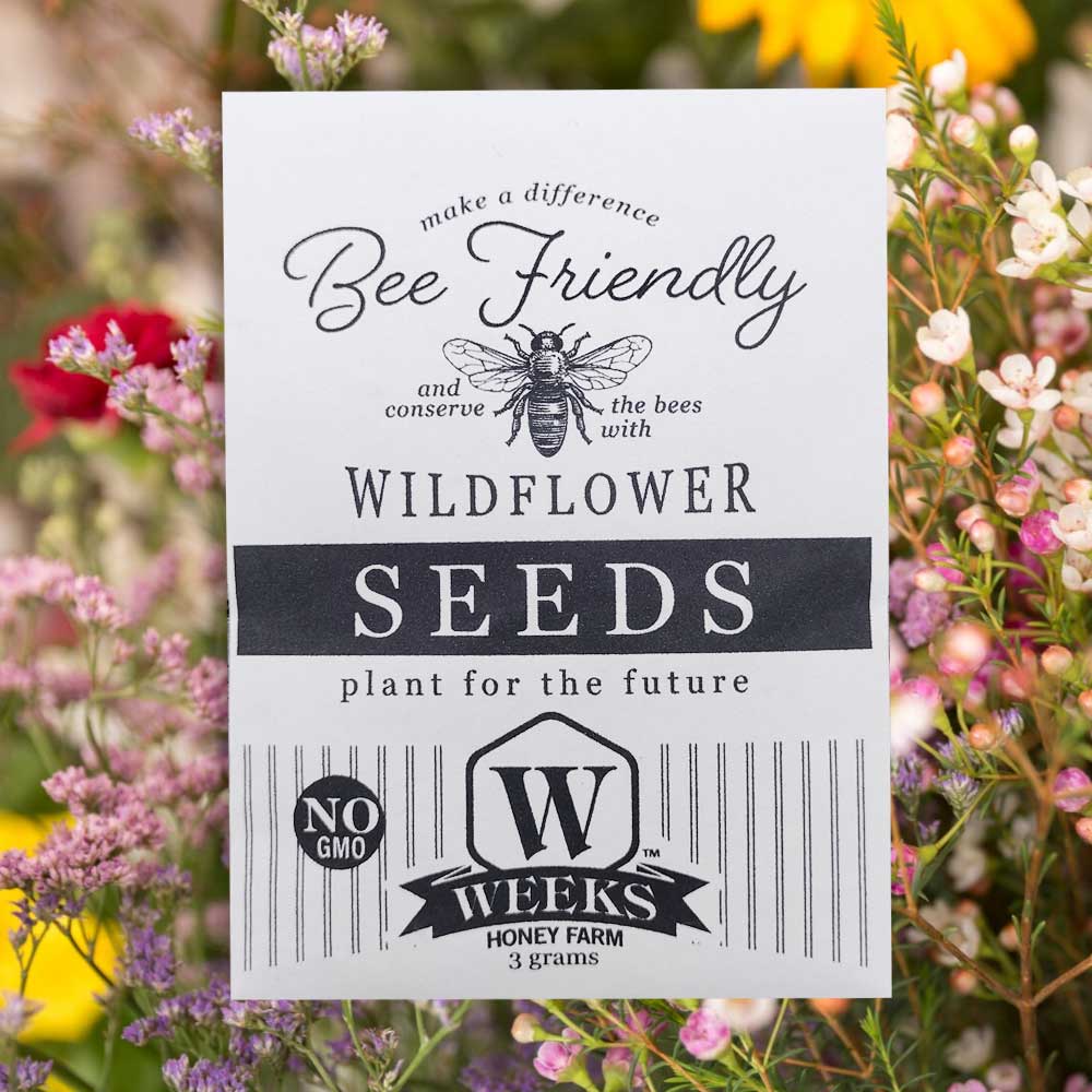BOGO Bee Friendly Seed Collection Inspired by Our Honey Bees Favorite Flowers (3 Pack) - Image 4
