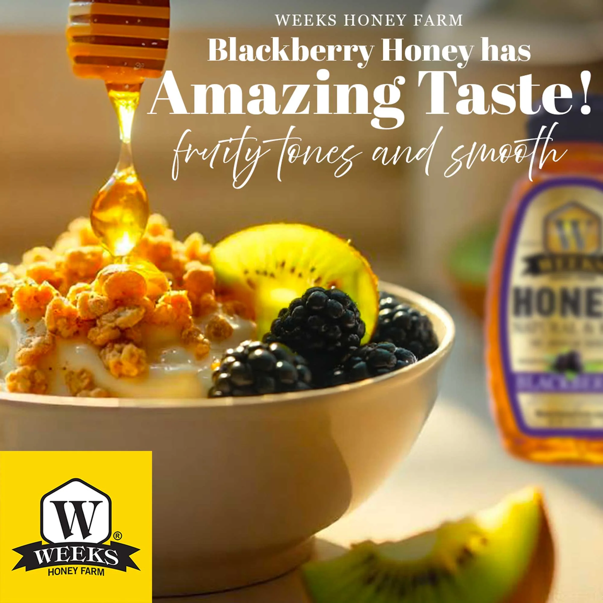 South Georgia Raw Blackberry Honey - Pure, Local, Mono-Floral Raw Honey - Image 3