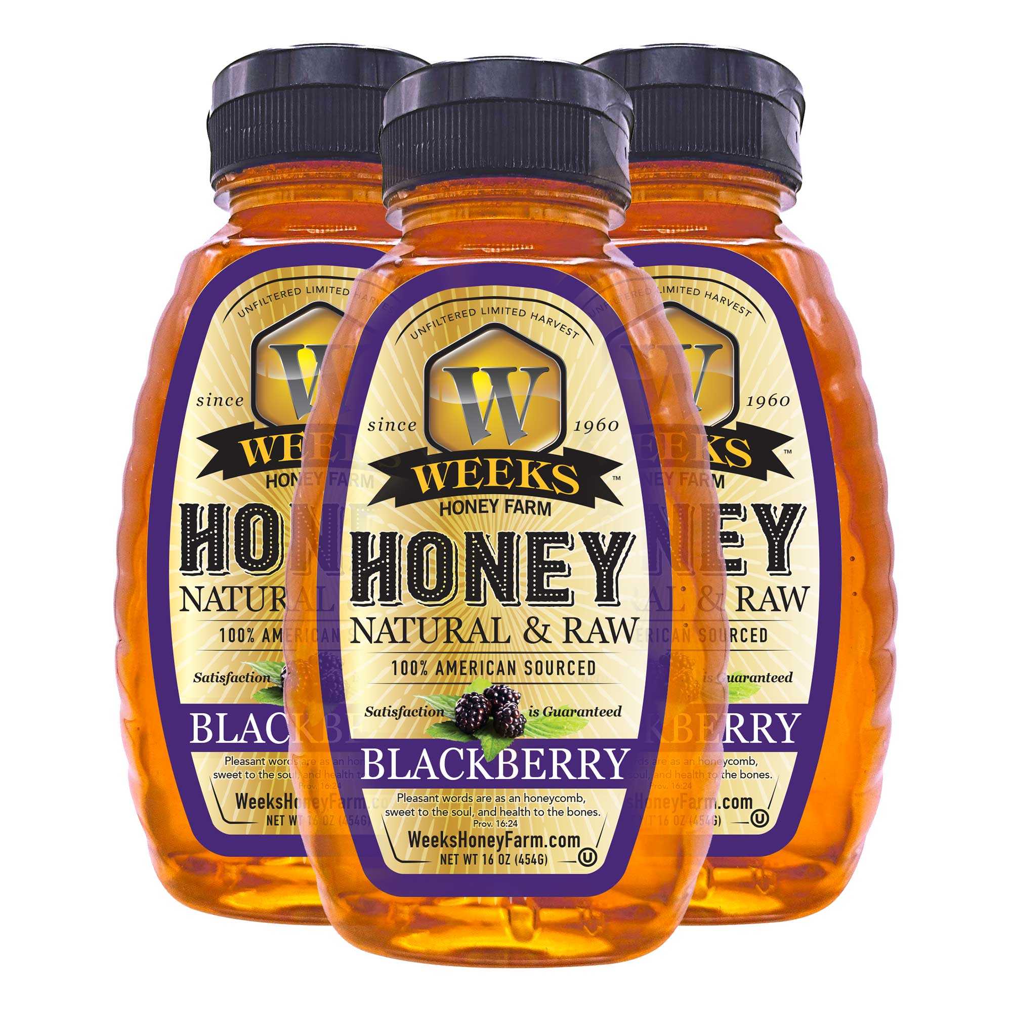 South Georgia Raw Blackberry Honey - Pure, Local, Mono-Floral Raw Honey - Image 8