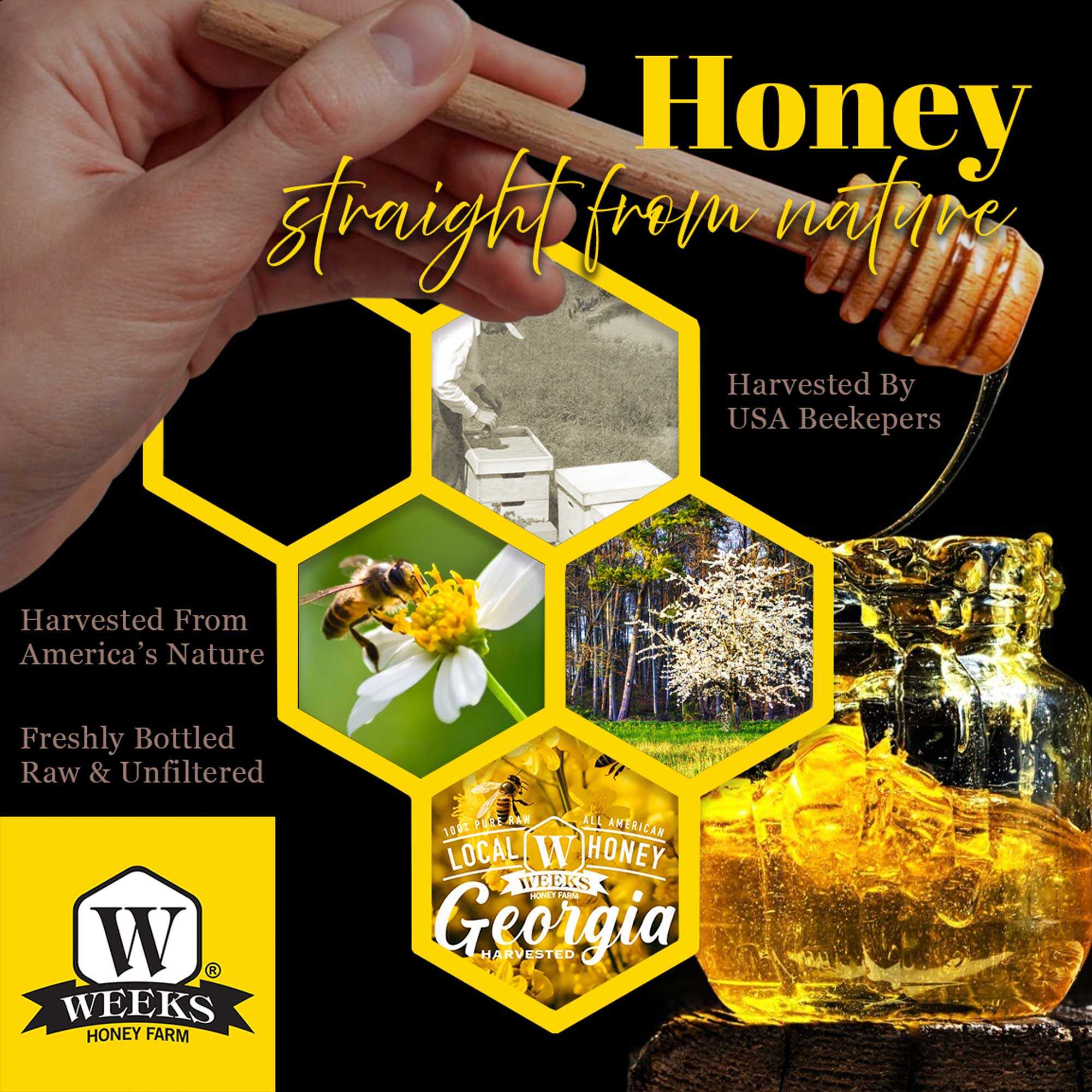 Our Best All-Natural Pure Raw Gallberry Honey - Image 3