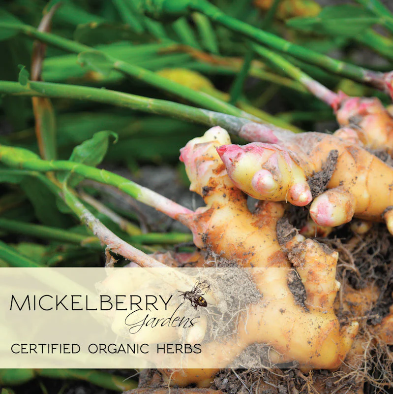 Ginger Honey Tonic - Image 10