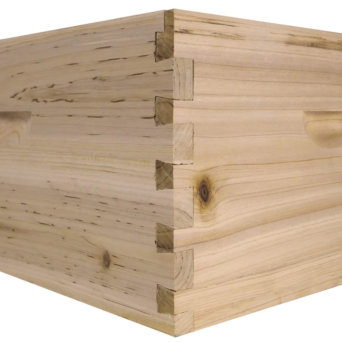 NuBee 10-Frame Beehive – 1 Deep & 1 Medium | Weeks Honey Farm - Image 3