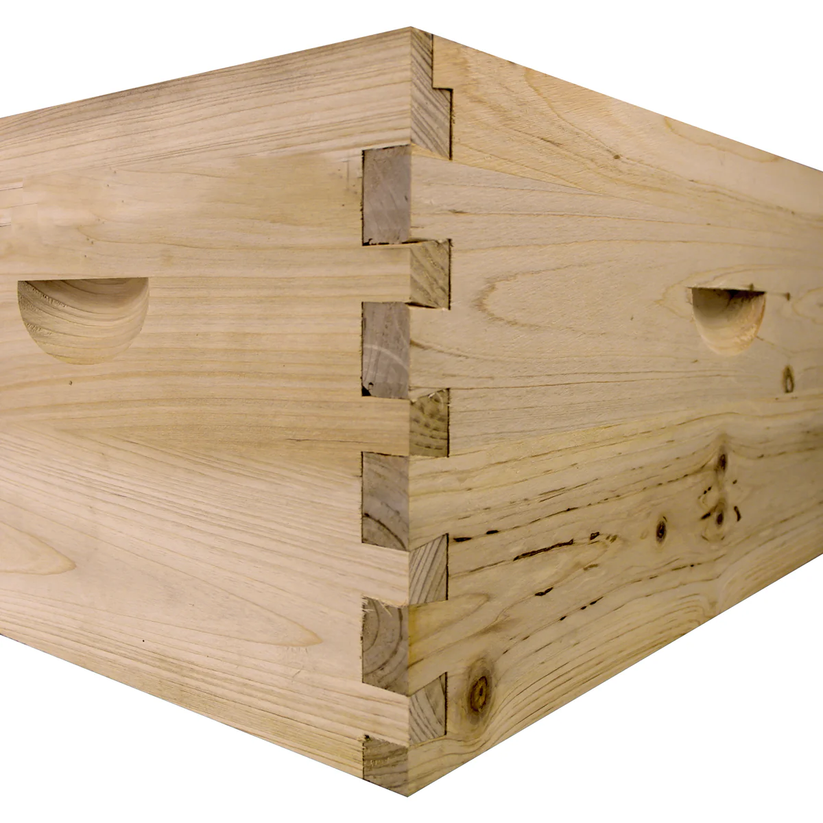 NuBee 8-Frame Beehive – 1 Deep Brood Box | Weeks Honey Farm - Image 2