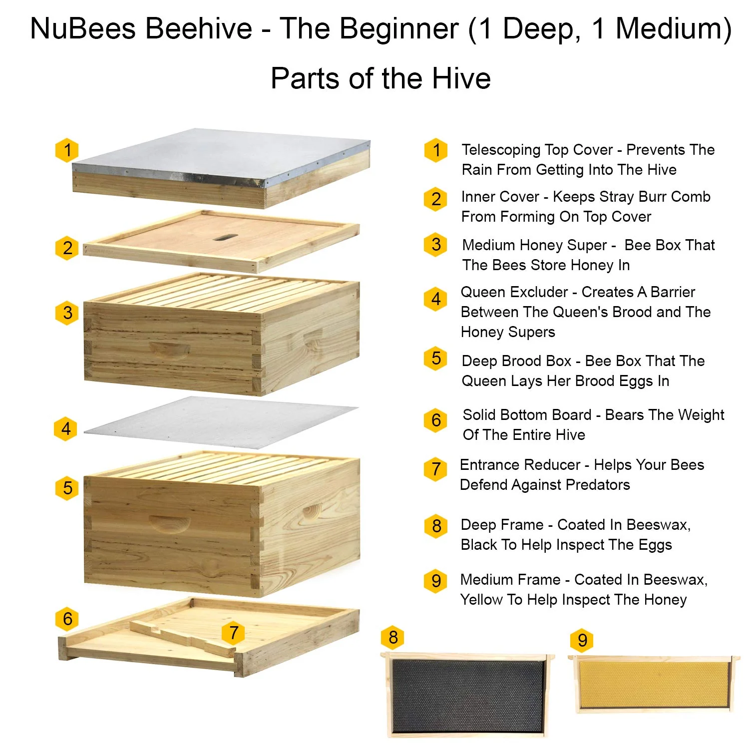 NuBee 8-Frame Beehive – 1 Deep & 1 Medium | Weeks Honey Farm - Image 2