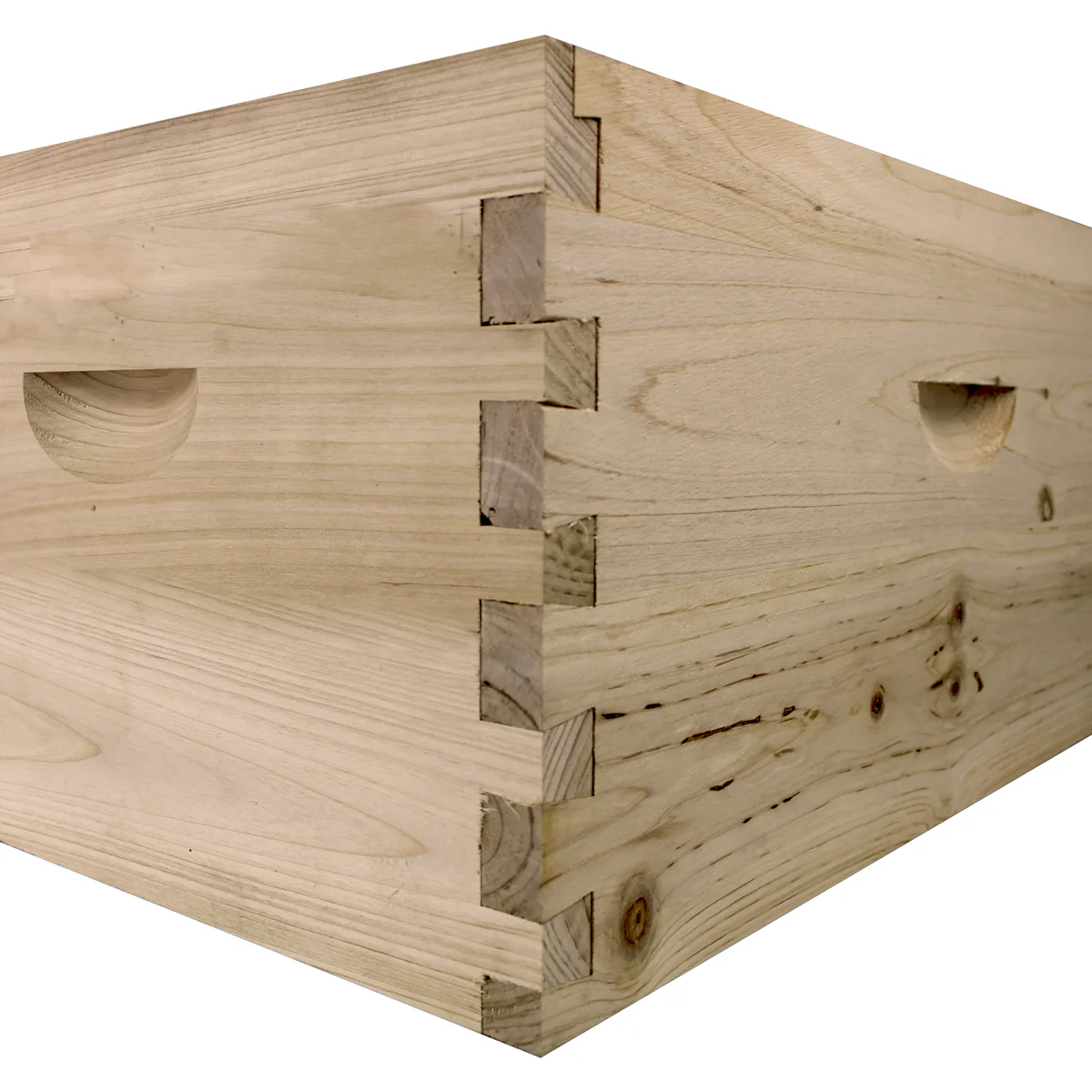 NuBee 8-Frame Beehive – 1 Deep & 2 Mediums | Weeks Honey Farm - Image 2