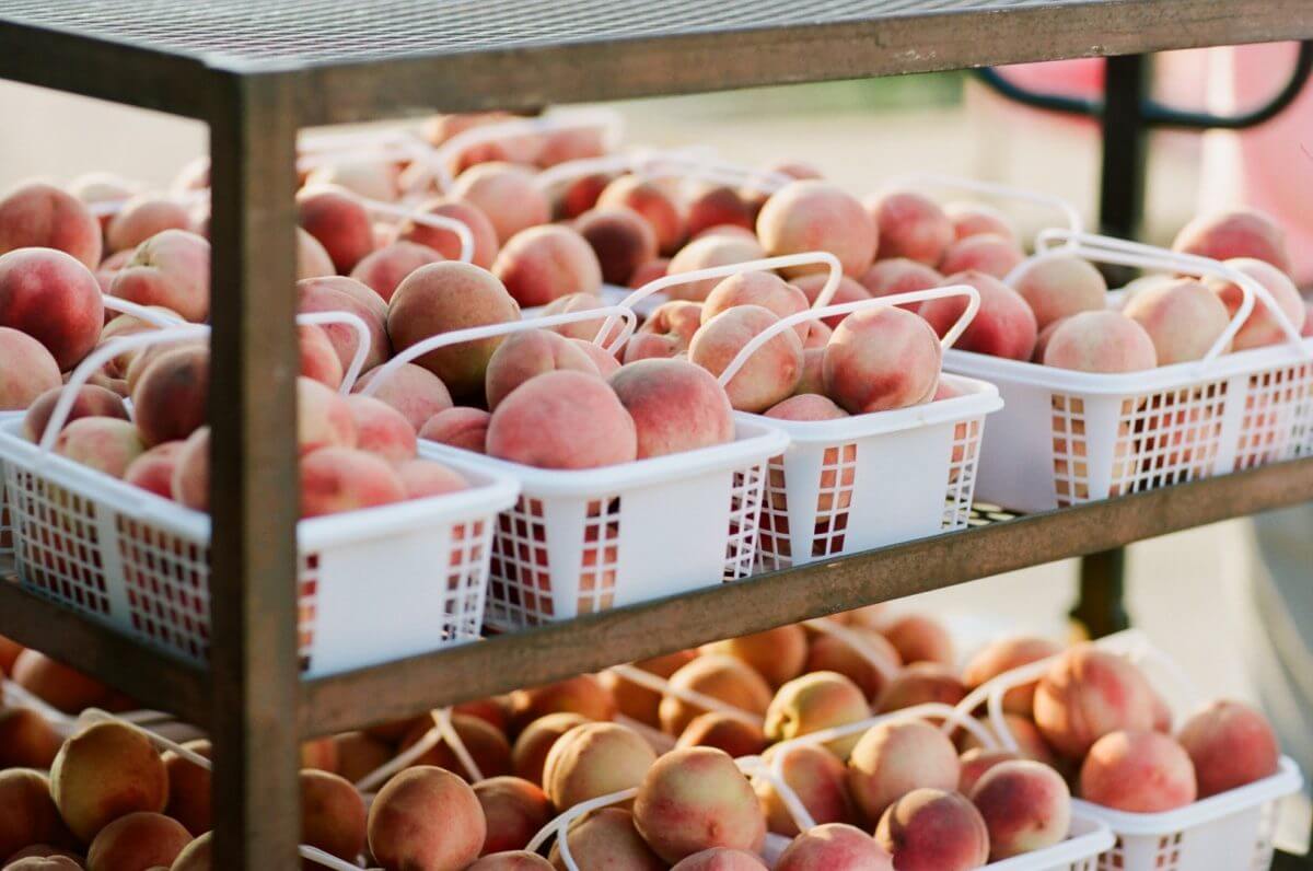 Orchard Peach Muslin Bag of Loose Leaf Tea - 15 Servings - Image 3