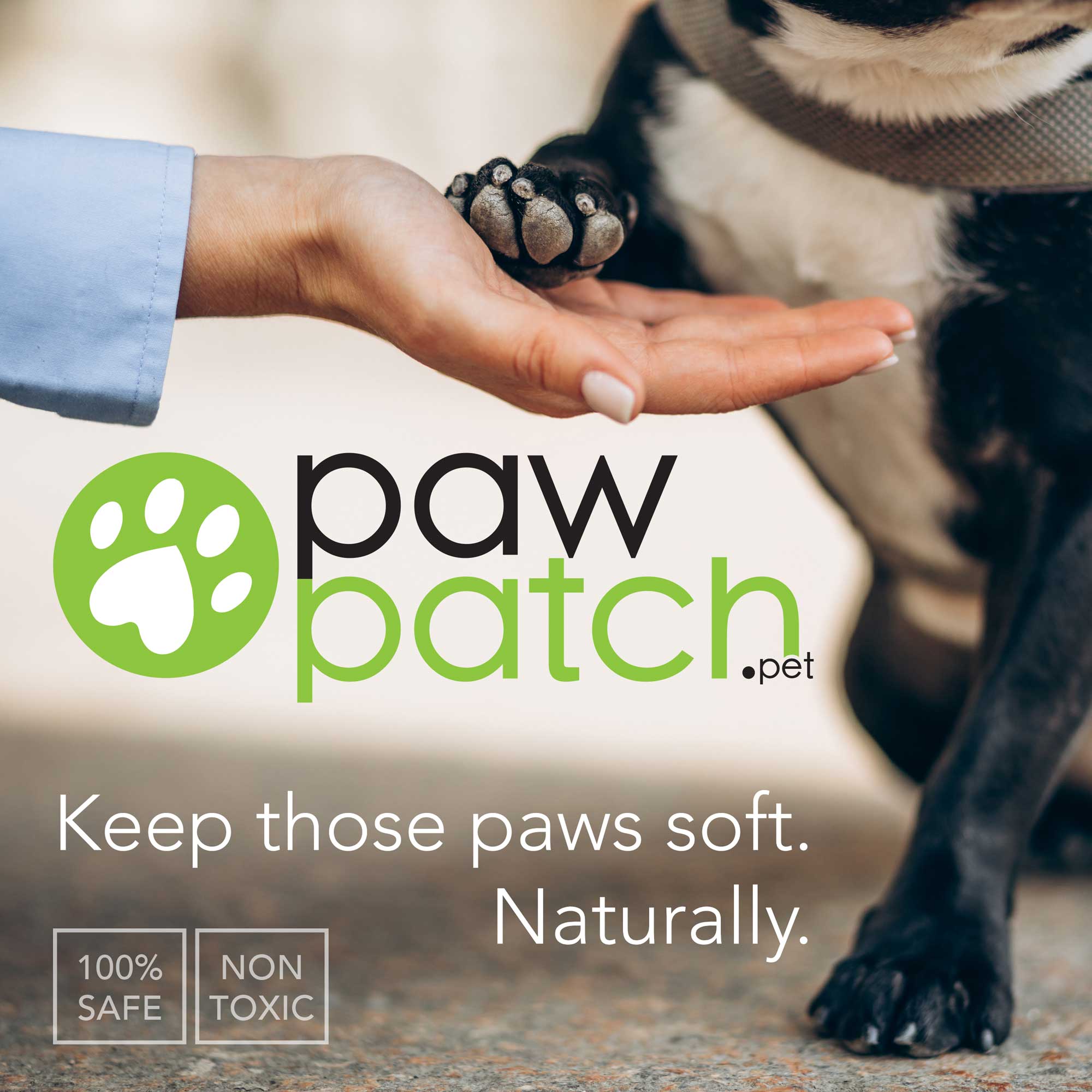 Protect Your Pet with PawPatch - 100% Natural Moisturizer + Sunscreen - Image 5