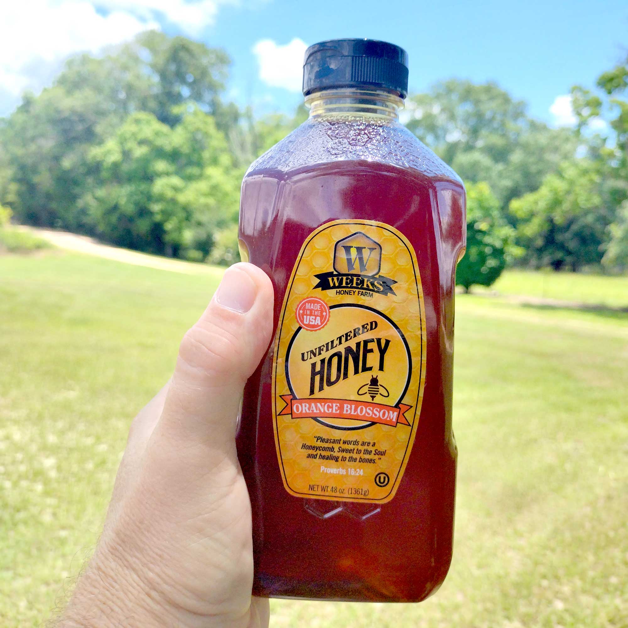 Pure Raw American Orange Blossom Honey - Unfiltered, All-Natural Citrus Sweetness - Image 10