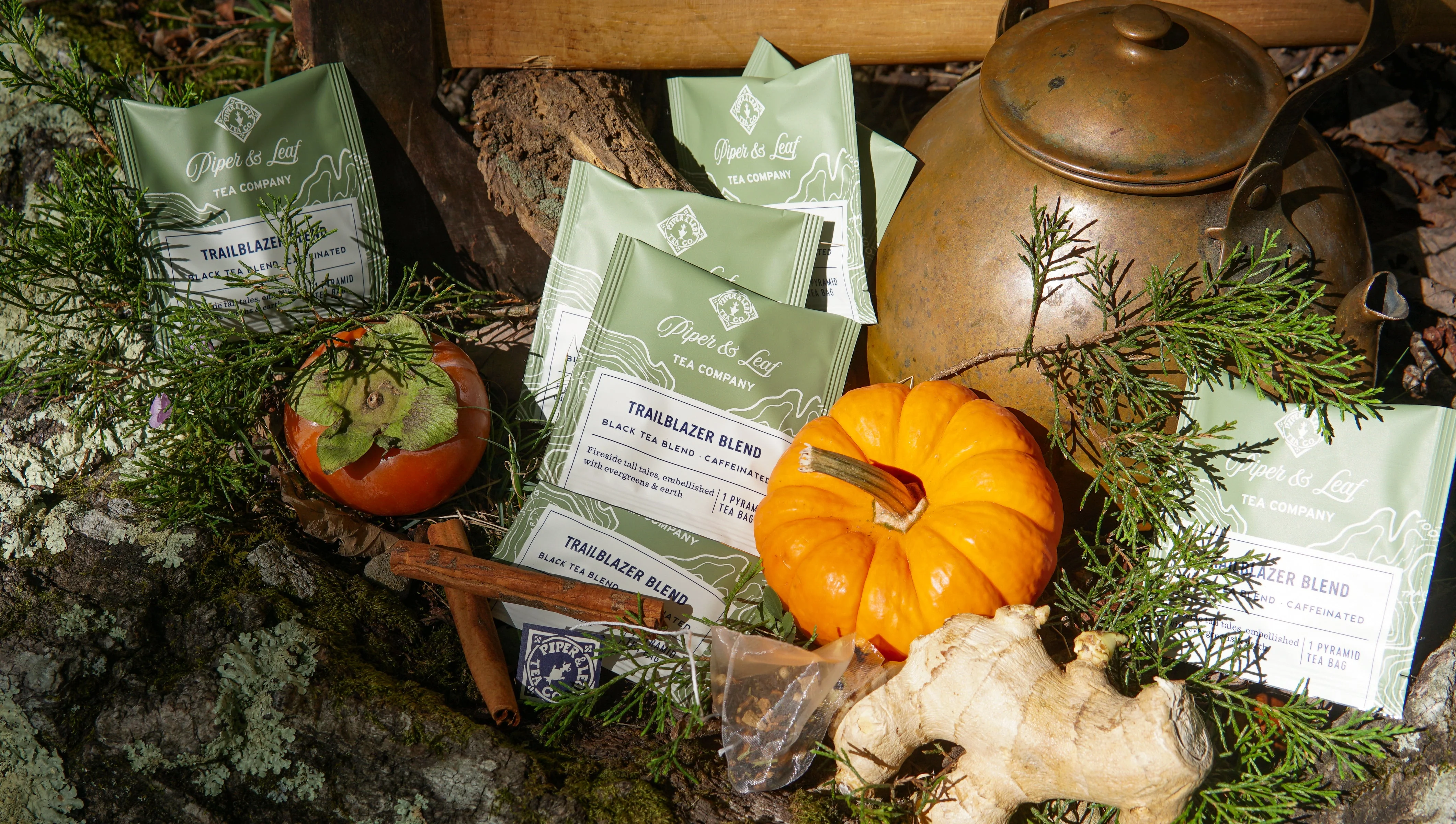Trailblazer Blend Case of Individually Wrapped Tea Bags- 50ct - Image 3