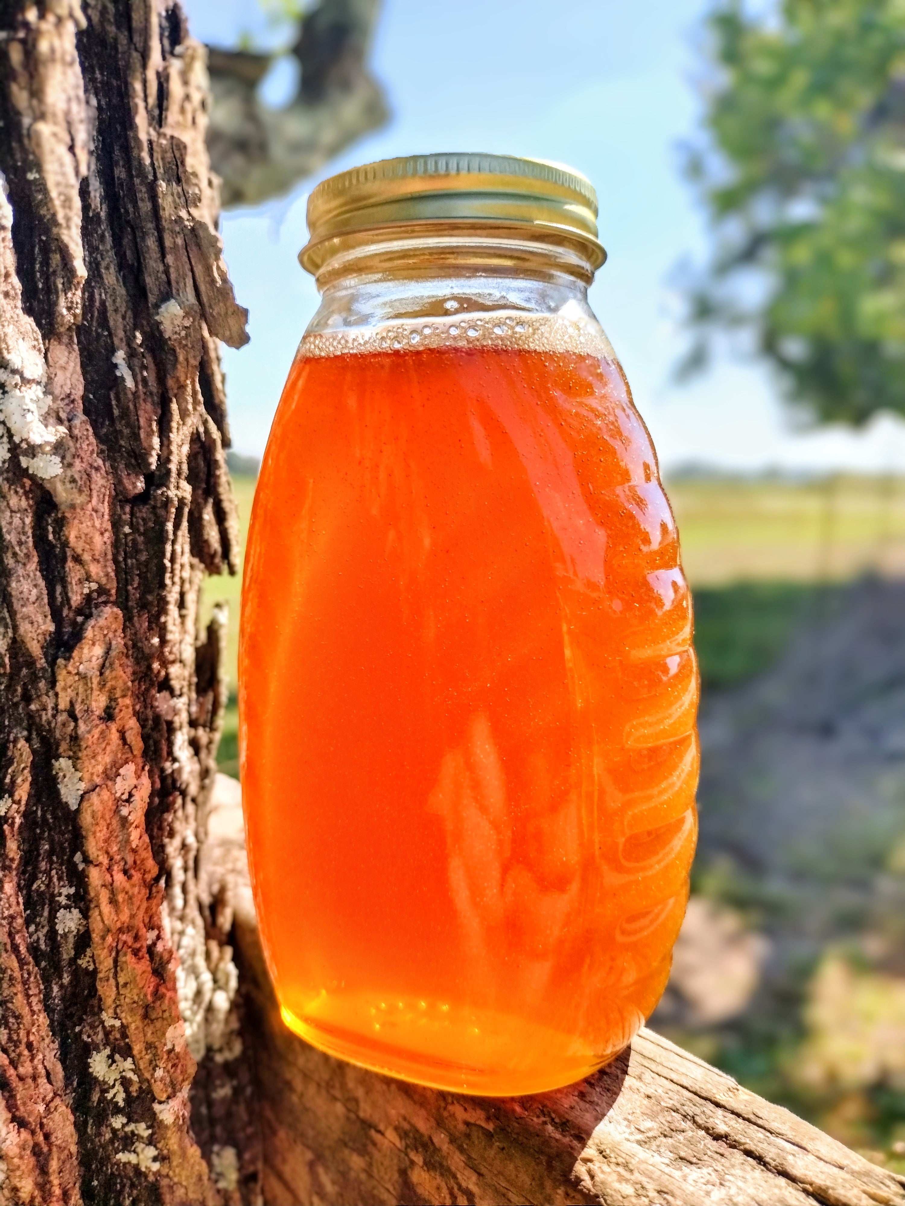 Georgia Tupelo Honey is a Pure Buttery Delight - Image 4