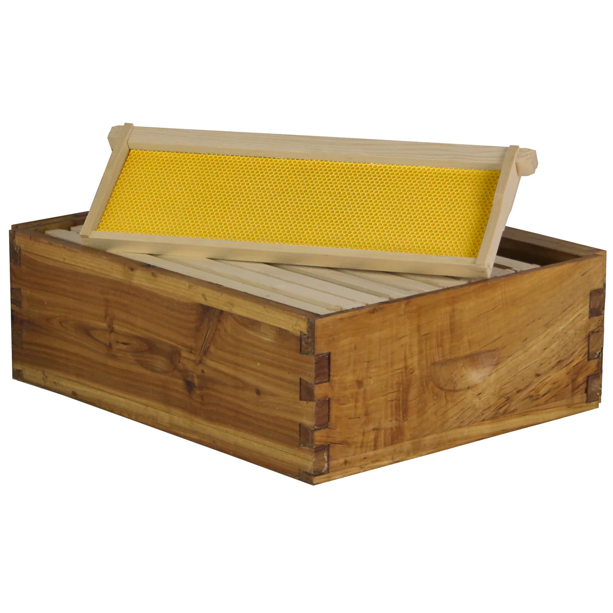 Wax-Coated 10-Frame Beehive – 1 Deep & 2 Mediums | Weeks Honey Farm - Image 7