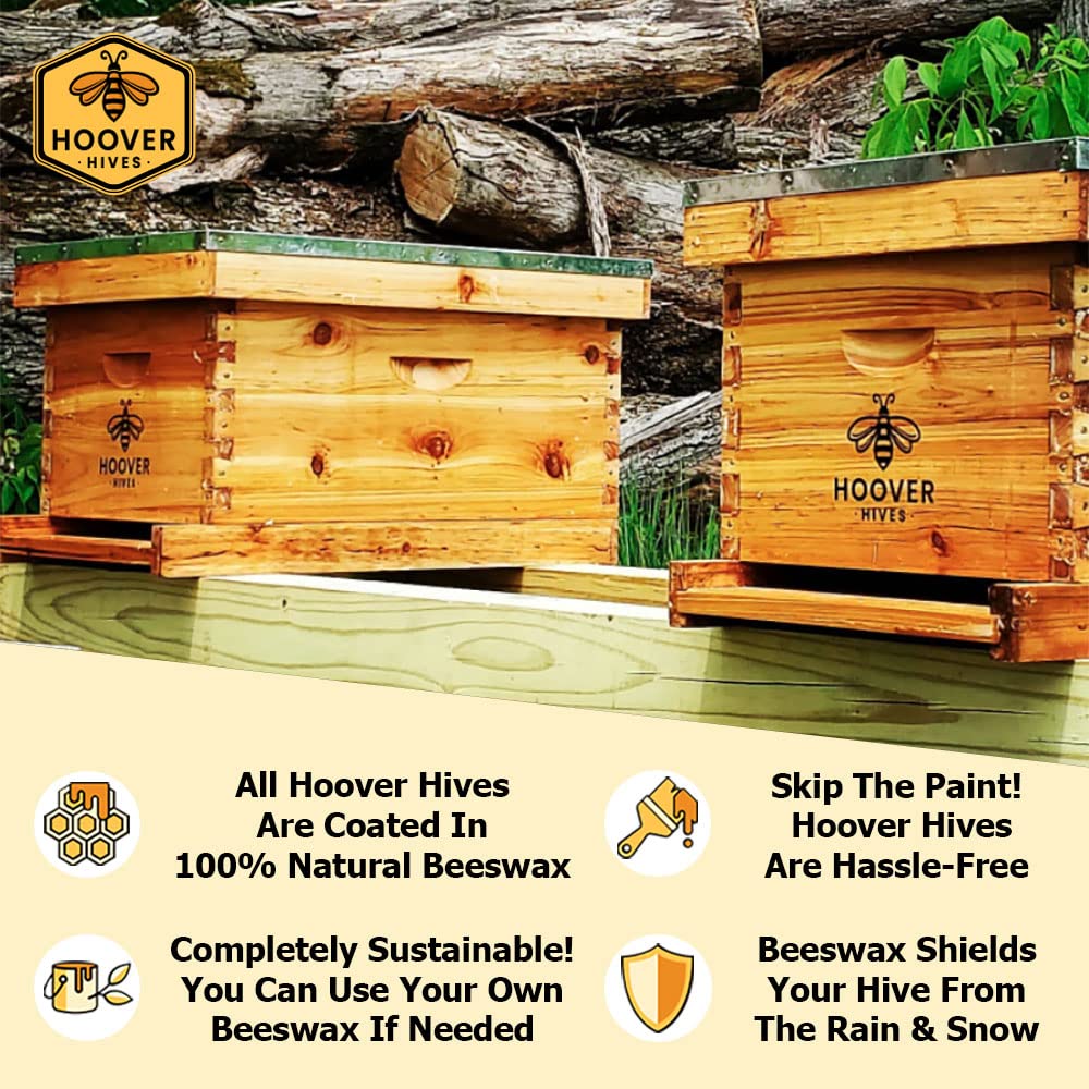 Wax-Coated 8-Frame Beehive – 1 Deep & 1 Medium | Weeks Honey Farm - Image 7
