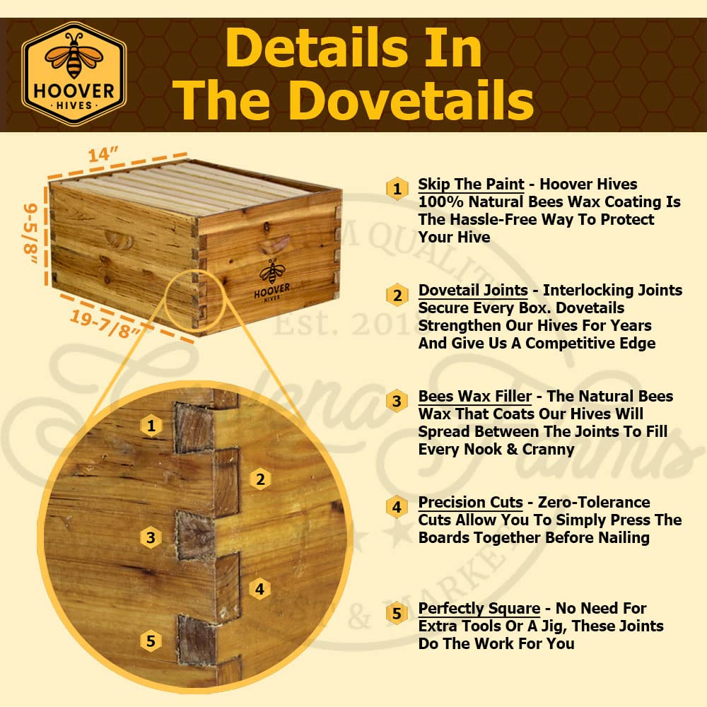 Wax-Coated 8-Frame Beehive – 1 Deep & 1 Medium | Weeks Honey Farm - Image 9