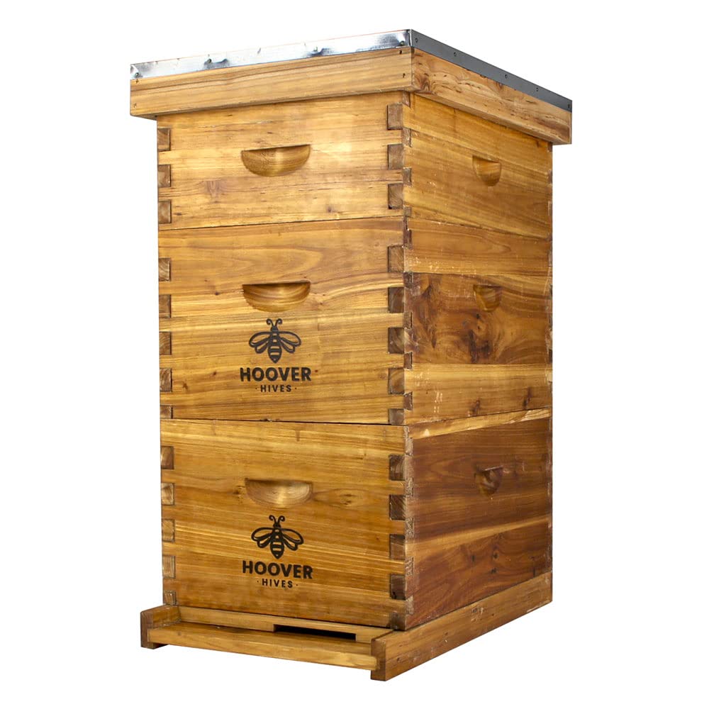 Wax-Coated 8-Frame Beehive – 2 Deeps & 1 Medium | Weeks Honey Farm
