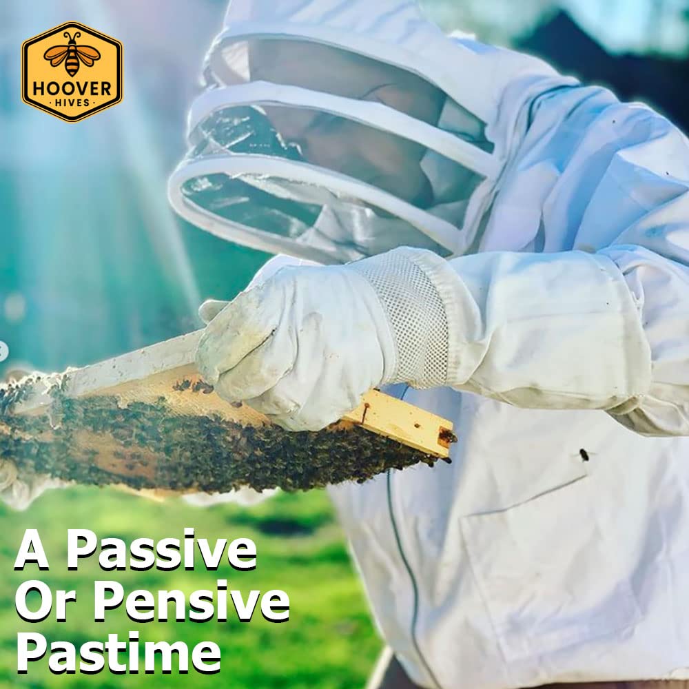 Wax-Coated 8-Frame Beehive – 2 Deeps & 1 Medium | Weeks Honey Farm - Image 3