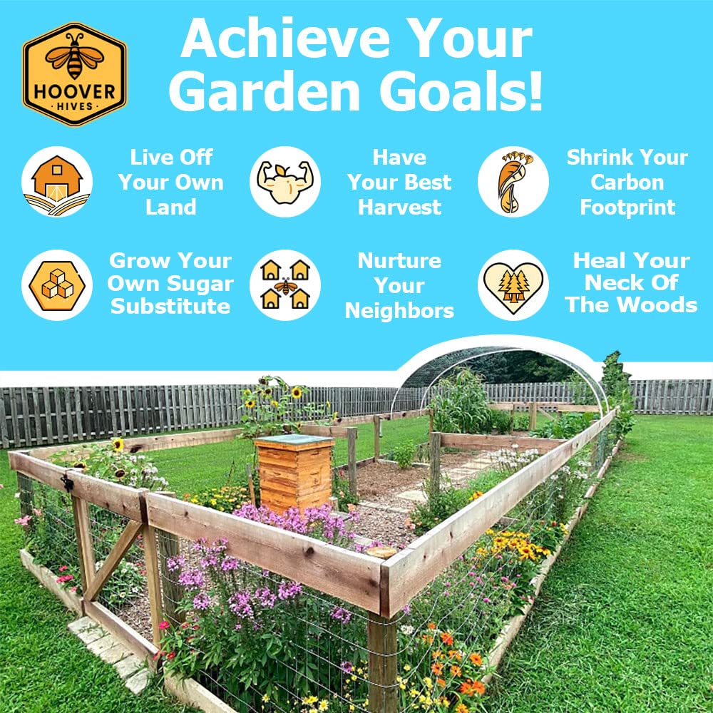 Wax-Coated 8-Frame Beehive – 2 Deeps & 1 Medium | Weeks Honey Farm - Image 5