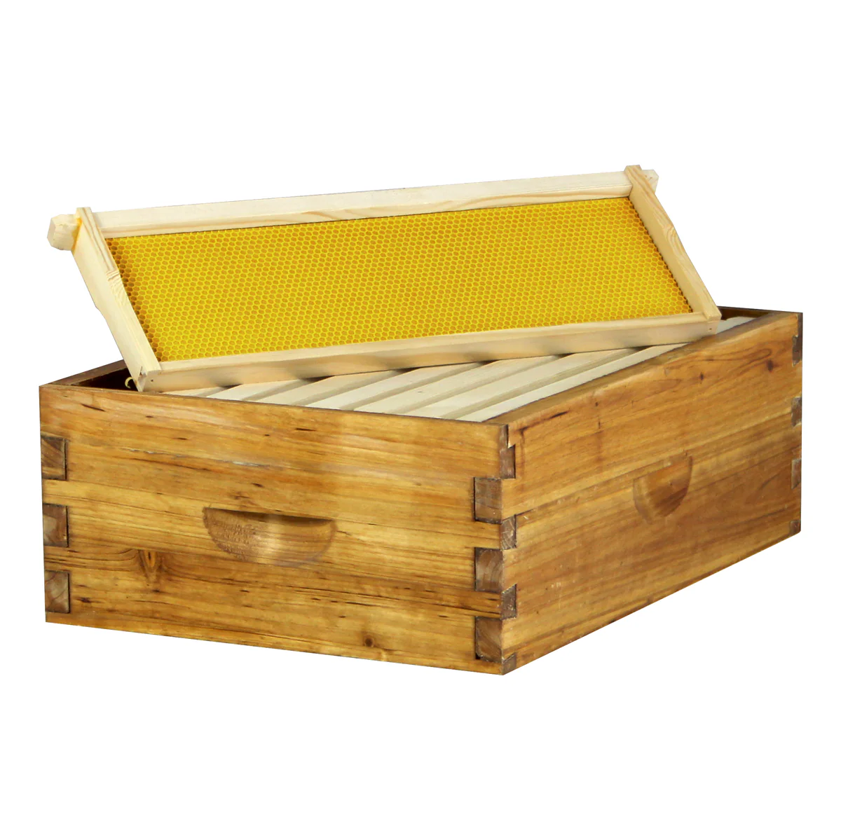 Wax-Coated 8-Frame Beehive – 2 Deeps & 2 Mediums | Weeks Honey Farm - Image 7