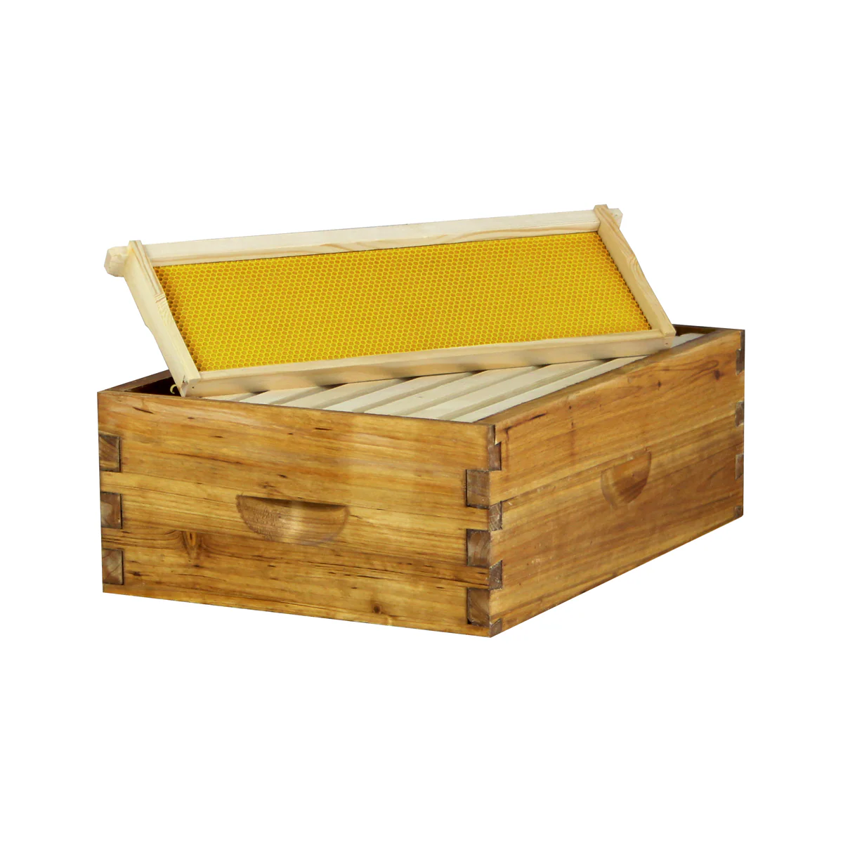 Best Wax-Coated Medium Honey Super for Beekeepers | Weeks Honey Farm - Image 5