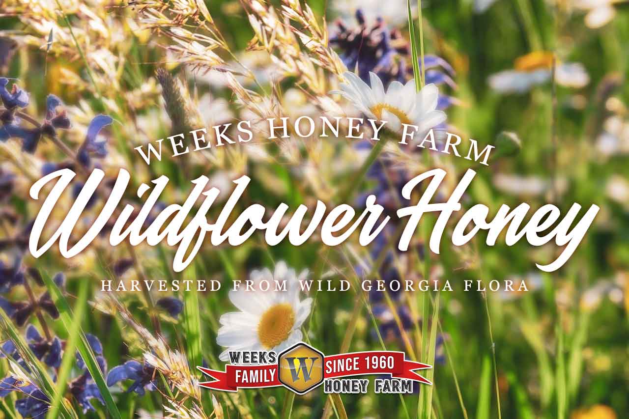 Pure Wildflower Honey Straws in Tub; 150 Count - Image 3